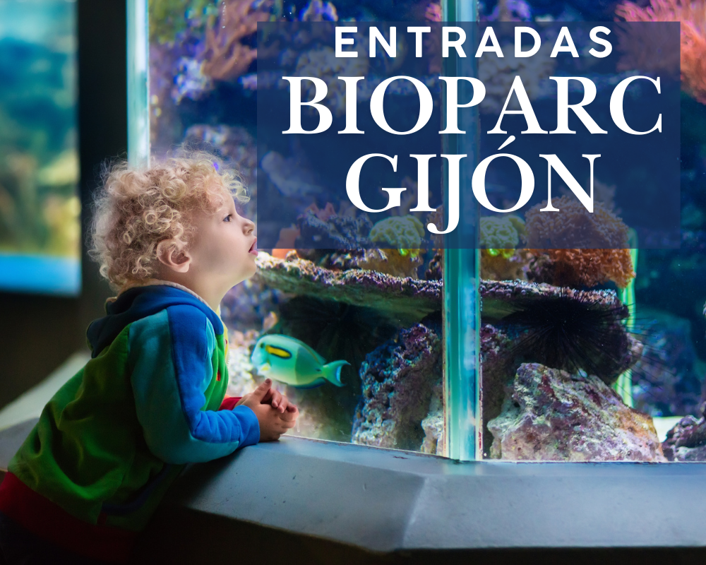 Bioparc Gijón